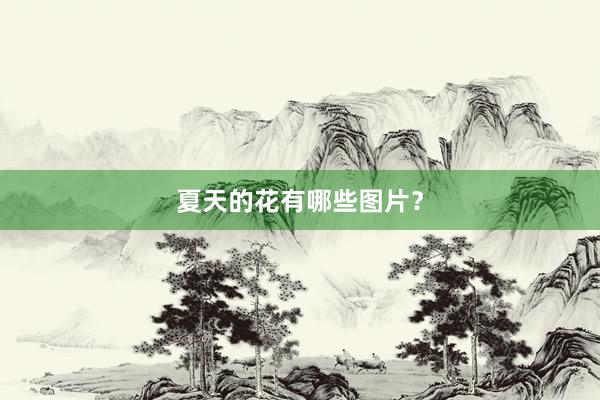 夏天的花有哪些图片？