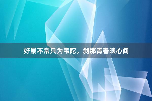 好景不常只为韦陀，刹那青春映心间