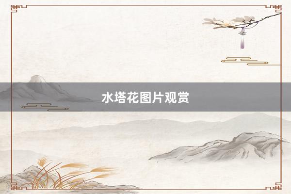 水塔花图片观赏